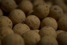 Load image into Gallery viewer, Close up of Lacto-Nut & CSL 13mm Balanced Wafters