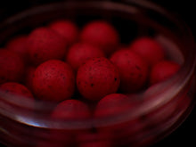Load image into Gallery viewer, Octoplum - Advanced Hookbaits