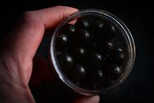 Load image into Gallery viewer, Black Lobster - Advanced Hookbaits