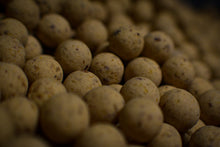 Load image into Gallery viewer, Close up of Lacto-Nut &amp; CSL 13mm Balanced Wafters
