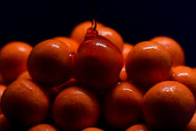 Load image into Gallery viewer, Tutti Double Strength - Advanced Hookbaits

